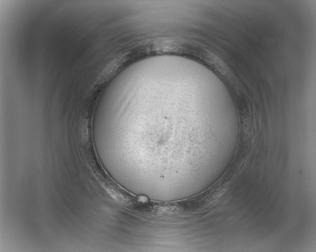 X0000062870401200601271601