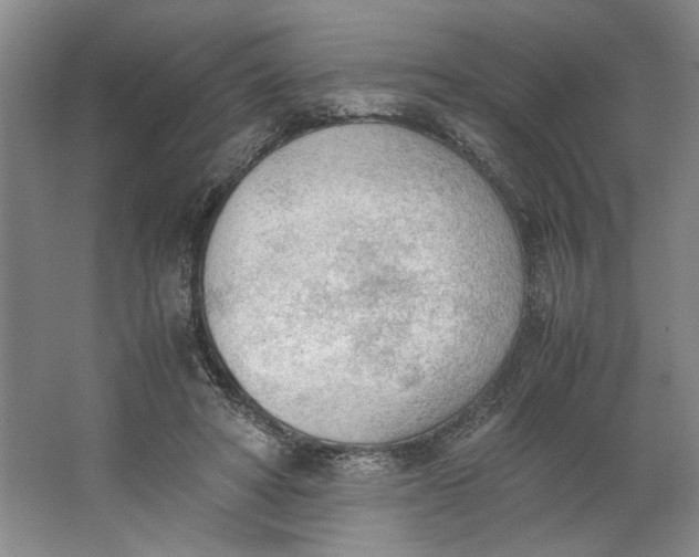 X0000062870402200601271601