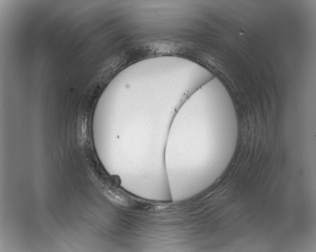 X0000062870406200601271601