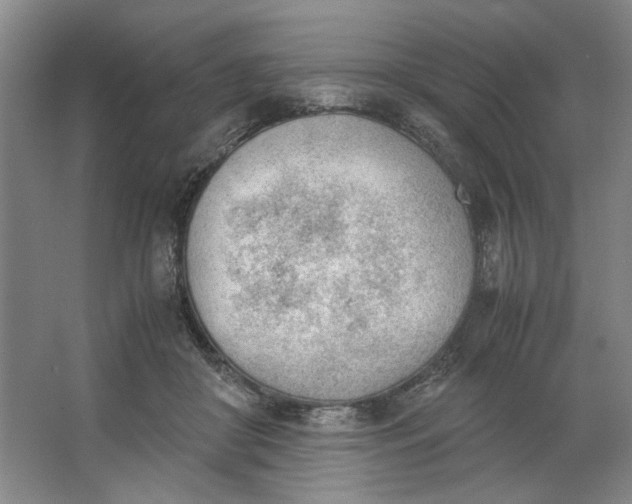 X0000062870410200601271601