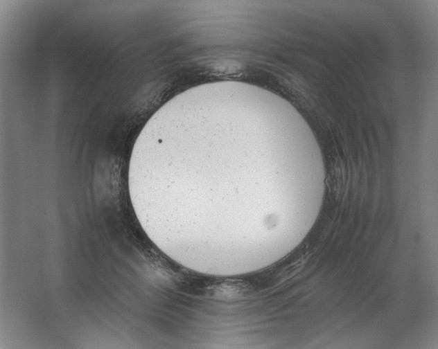 X0000062870412200601271601