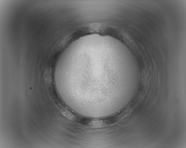 X0000062870413200601271601