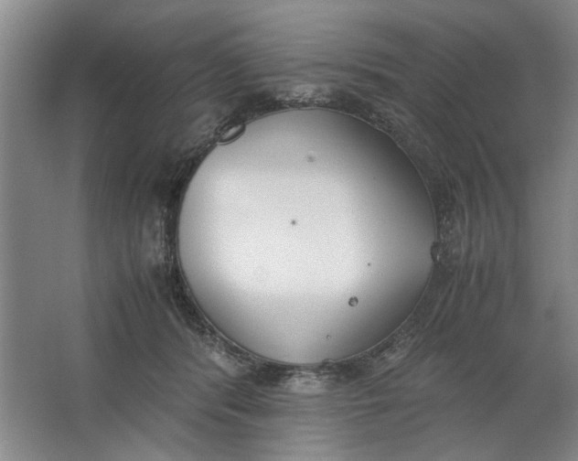 X0000062870416200601271601