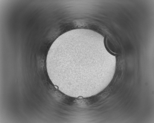 X0000062870417200601271601