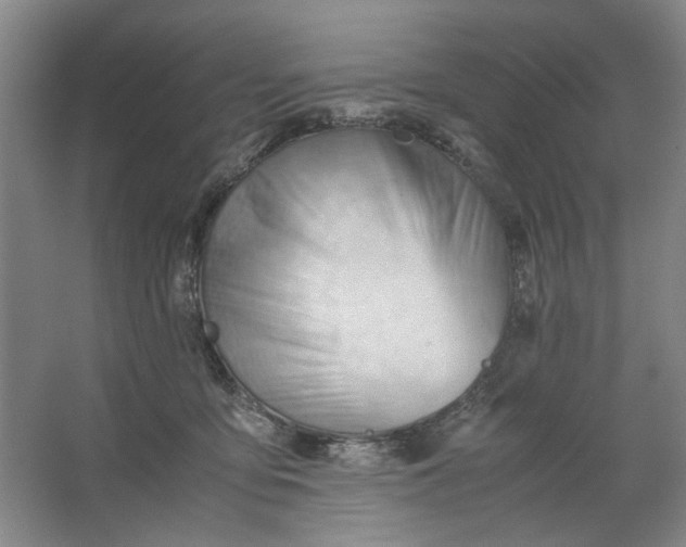 X0000062870419200601271601