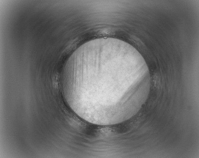 X0000062870423200601271601