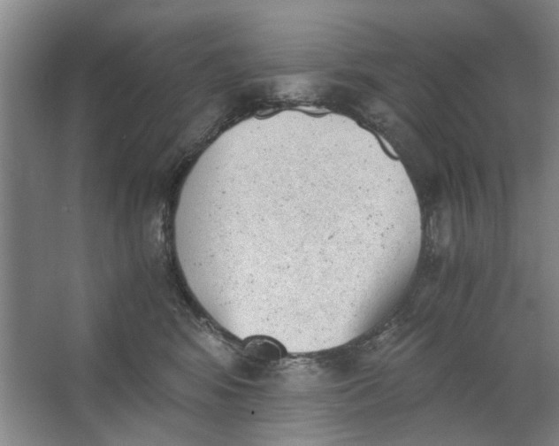 X0000062870424200601271601