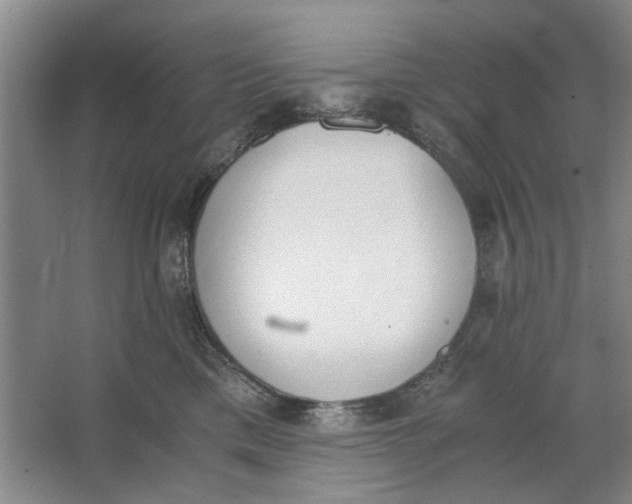 X0000062870425200601271601