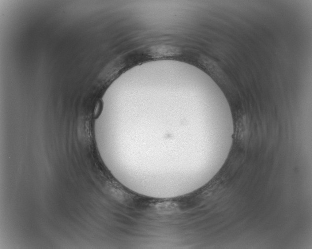 X0000062870426200601271601