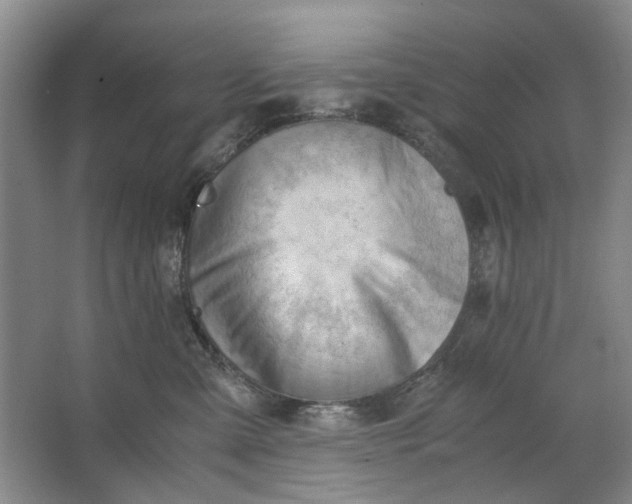 X0000062870427200601271601