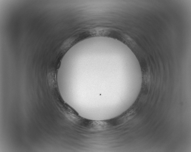 X0000062870429200601271601