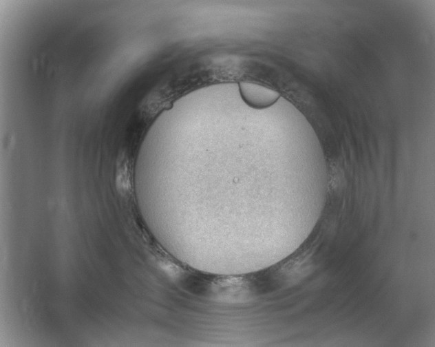 X0000062870431200601271600