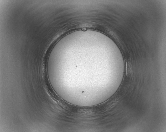 X0000062870435200601271600