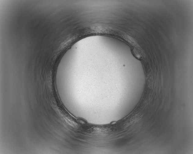 X0000062870442200601271600