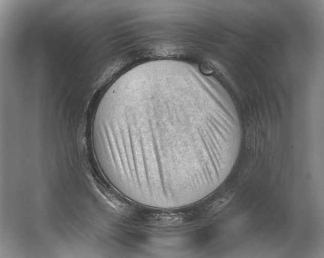 X0000062870443200601271600