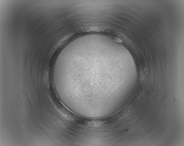 X0000062870444200601271600