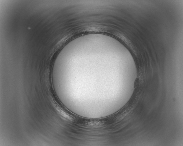 X0000062870445200601271600