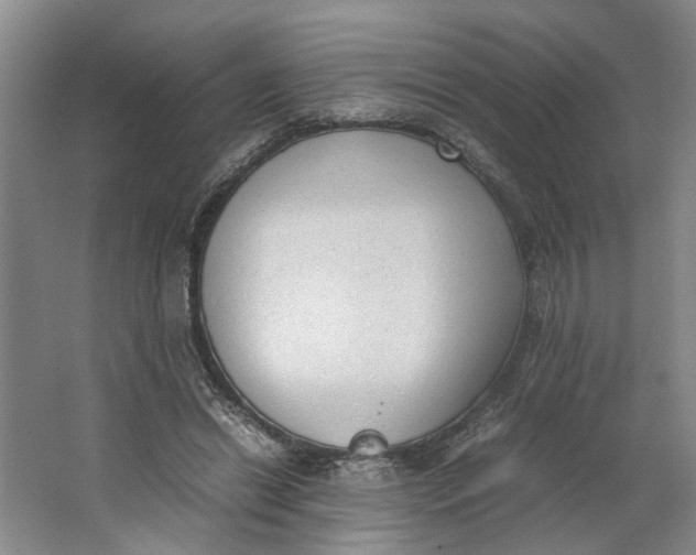 X0000062870446200601271600