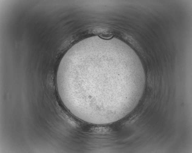 X0000062870449200601271600