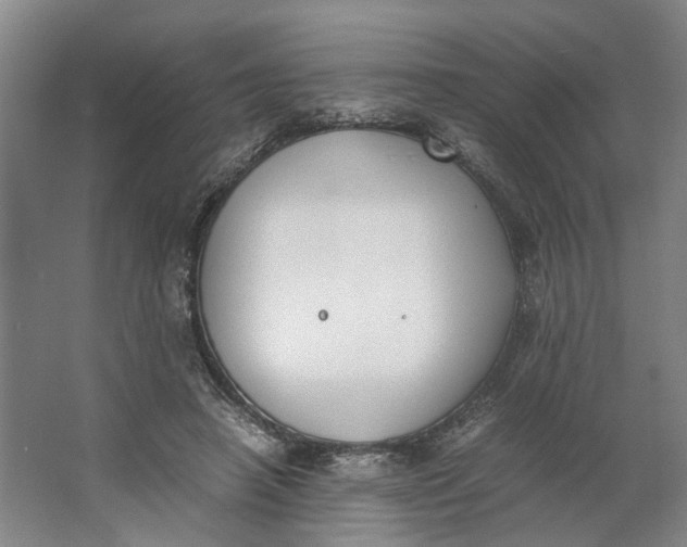 X0000062870450200601271600