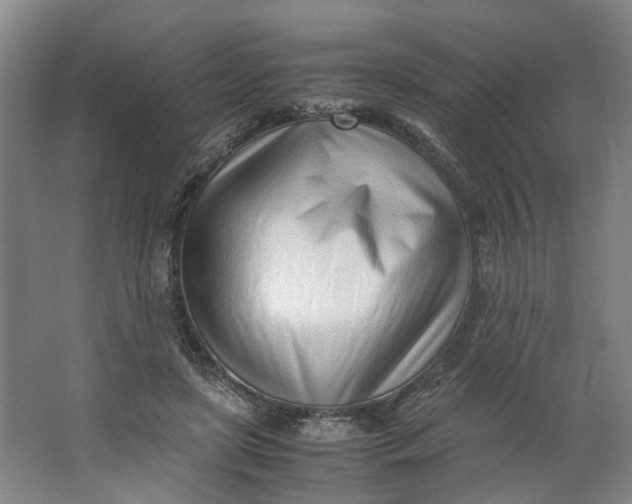 X0000062870451200601271600