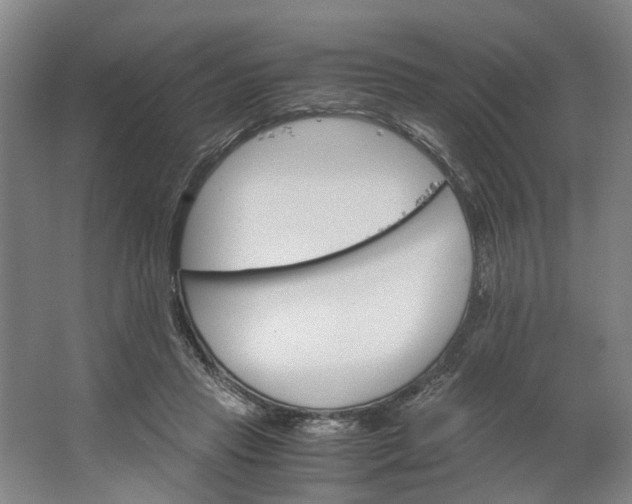 X0000062870453200601271600