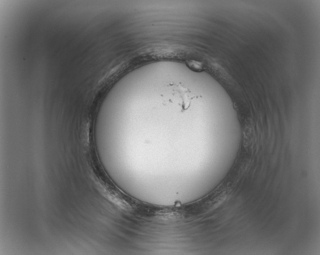 X0000062870454200601271600