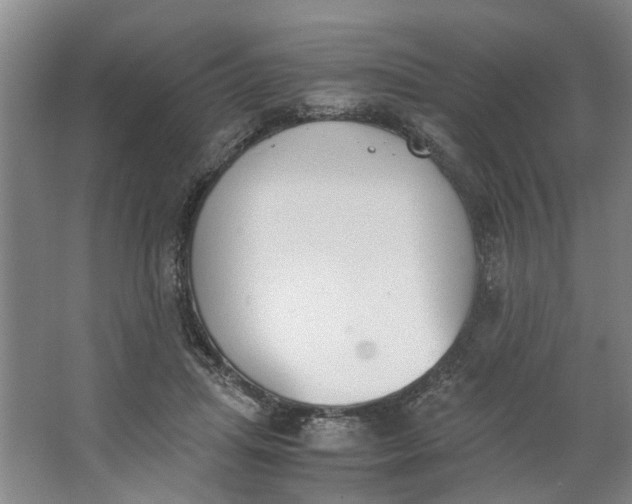 X0000062870455200601271600