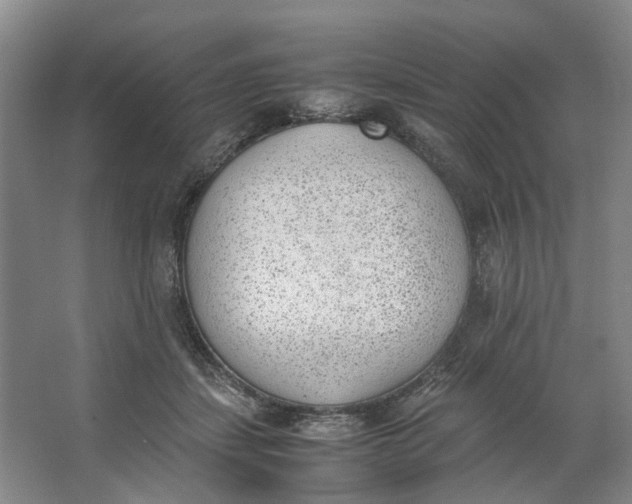 X0000062870459200601271600