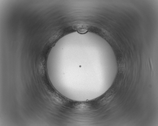 X0000062870460200601271600