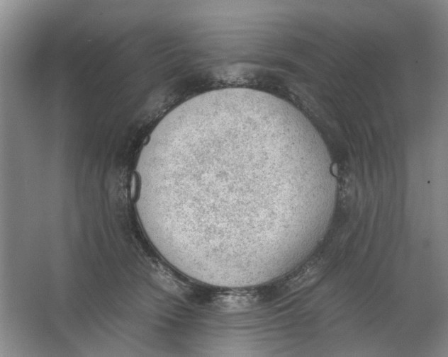 X0000062870466200601271600