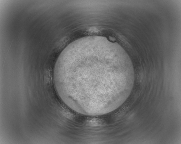 X0000062870467200601271600