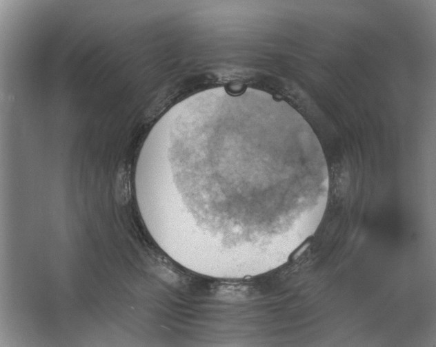 X0000062870471200601271600