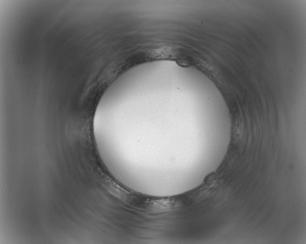 X0000062870473200601271600