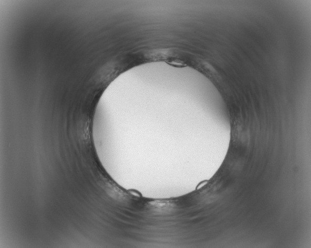 X0000062870477200601271600