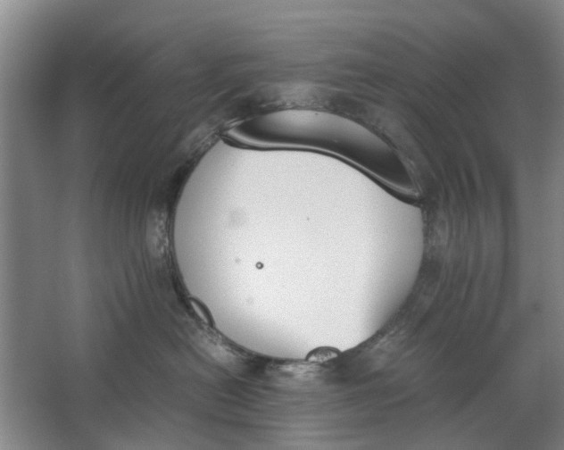 X0000062870478200601271600