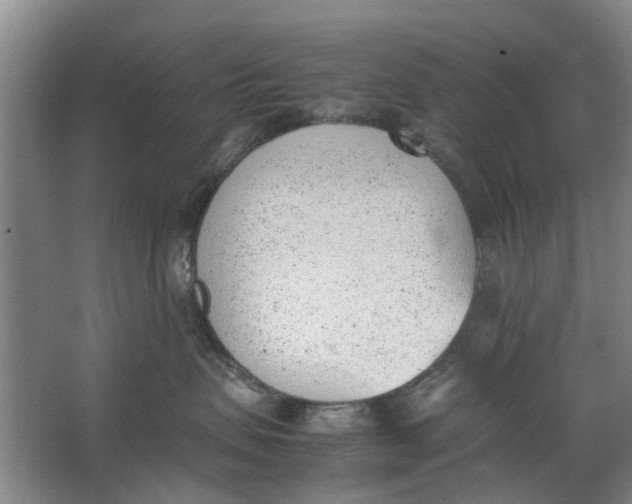 X0000062870479200601271600