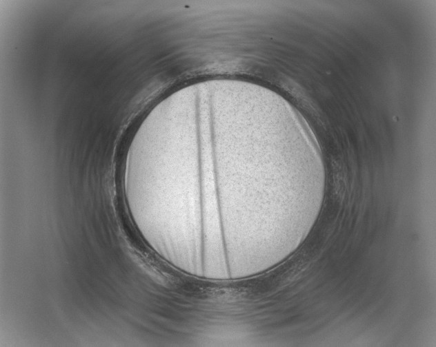 X0000062870486200601271600