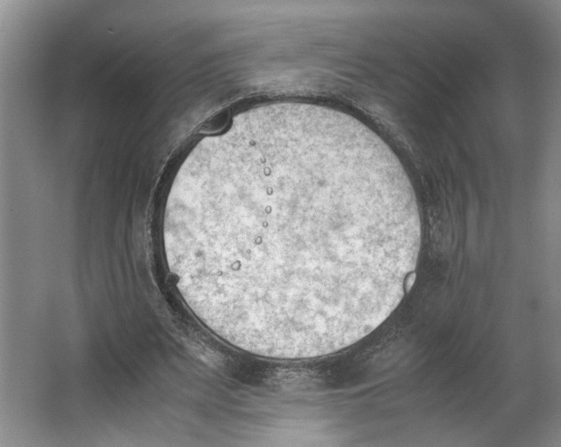 X0000062870487200601271600