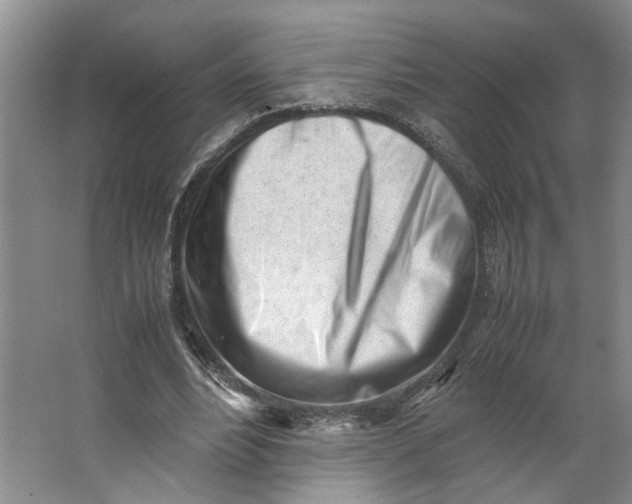 X0000062870488200601271600