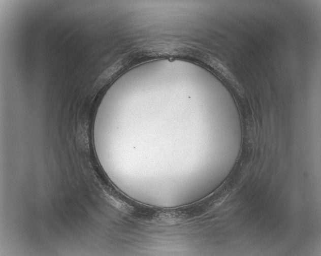 X0000062870489200601271559