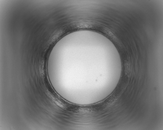 X0000062870490200601271559