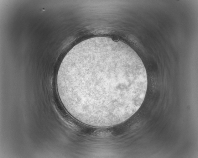 X0000062870491200601271559