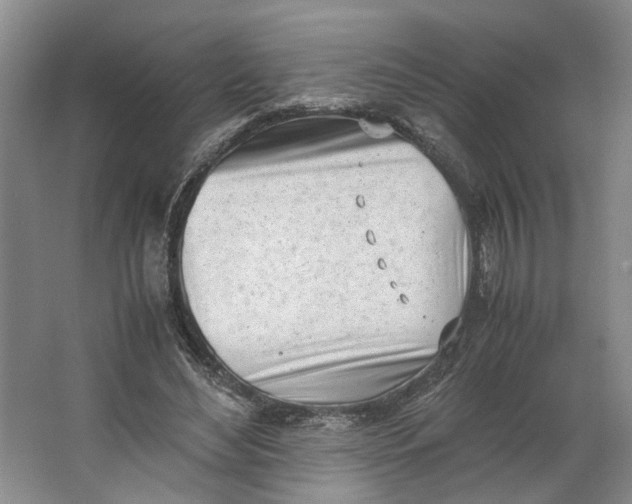 X0000062870492200601271559