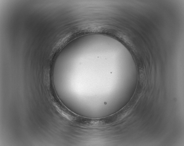 X0000062870493200601271559