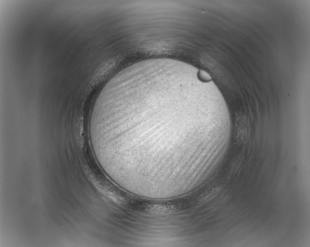 X0000062870494200601271559