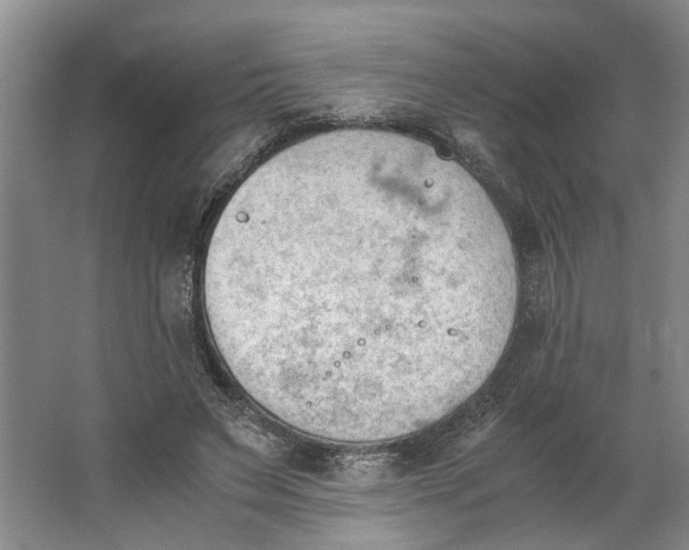 X0000062870495200601271559