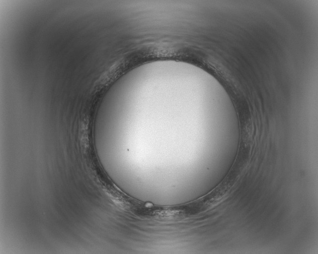 X0000062870497200601271559