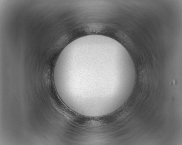 X0000062870498200601271559