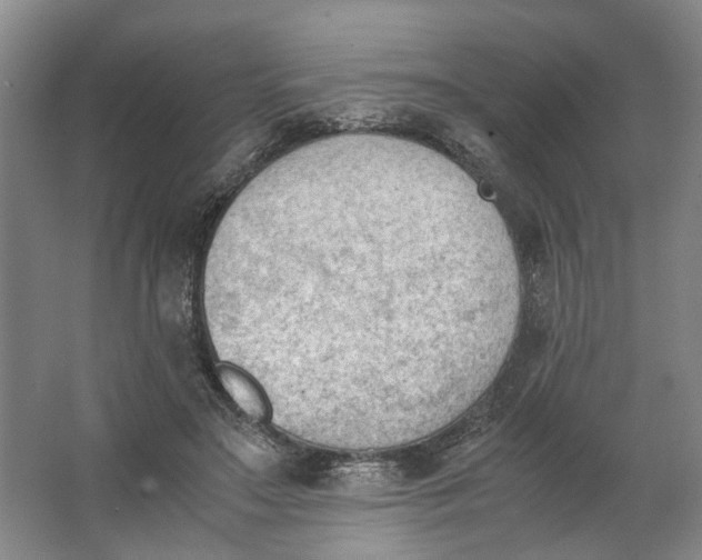 X0000062870499200601271559